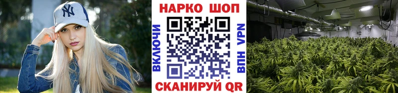Где можно купить наркотики Сураж Марихуана APVP Гашиш Амфетамин Псилоцибиновые грибы МЕФ