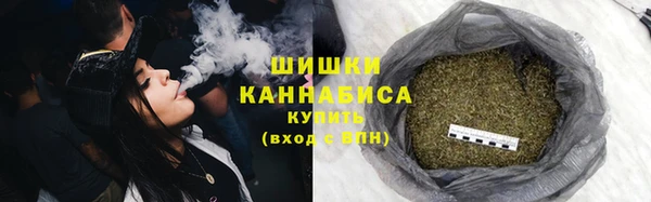 ГАЛЛЮЦИНОГЕННЫЕ ГРИБЫ Алексин