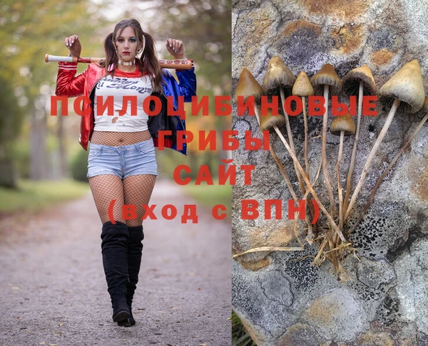 а пвп мука Абаза