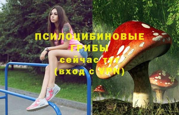 амф Алзамай